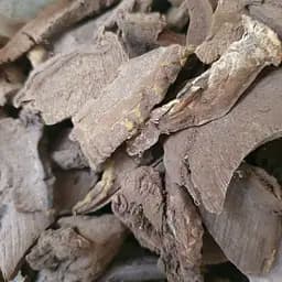 100 г рейши гриб/трутовик лакированный - свежий урожай