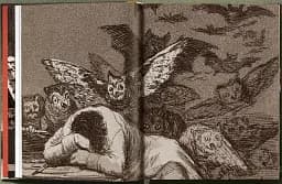 Goya. The Complete Prints - мініатюра 13