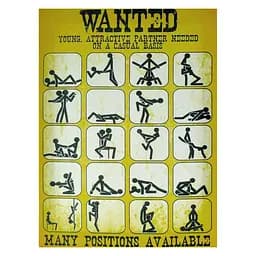 Картина Wanted partner