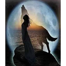 Алмазна вишивка на підрамніку 40 * 50 см повна викладка Ехо 40 * 50 см