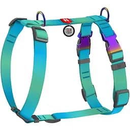 Шлея для собак Waudog Nylon Recycled анатомічна H-подібна з QR-паспортом, градієнт, L, блакитний
