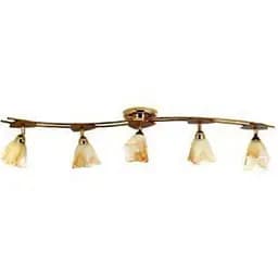 Светильник Brille спот LK-188S/5 E14 FGD