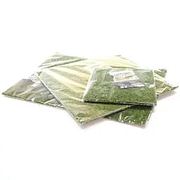 Фон з натурального моху Repti-Zoo Natural Moss Back & Bottom 45x45см 2 шт (NCM4545) для тераріуму - мініатюра 8