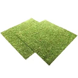 Фон з натурального моху Repti-Zoo Natural Moss Back & Bottom 45x45см 2 шт (NCM4545) для тераріуму - мініатюра 3
