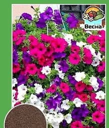 Насіння Весна Петунія Суміш забарвлень (Великий пакет) 1 г (32821)