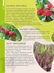 Перлини природи України - мініатюра 2