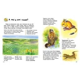 Книга Енциклопедія дошкільника. Україна - Юлія Каспарова Ранок (9786170999948) - мініатюра 4