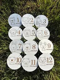 Набір дерев'яних круглих табличок для щомісячної фотосесії малюка, картки з двп 12 шт.