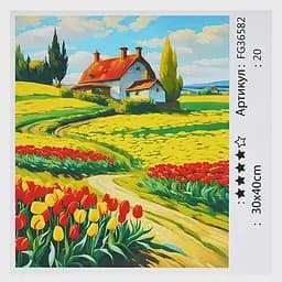 Набір для розпису по номерах Fun Game, FG36582