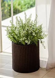 Горщик для квітів Keter 7 л Cylinder Planter Small коричневий - мініатюра 2