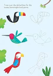 Animals to Copy and Trace. Little Wipe-Clean - мініатюра 8