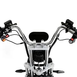 Триколісний сітікоко EVOBIKE Grizzly X3 Pro з вантажкою корзиною - мініатюра 6