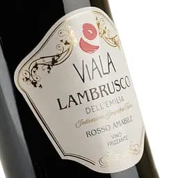 Вино ігристе Viala Lambrusco dell Emilia IGP червоне напівсолодке 0.75 л - мініатюра 5