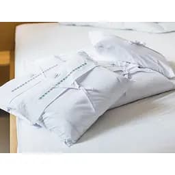Комплект постільної білизни Ecotton Premium євро перкаль вишивка з зеленим кантом (25139) - мініатюра 8