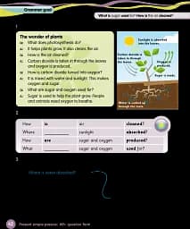 Grammar Goals. Level 5. Pupil's Book Pack - мініатюра 7