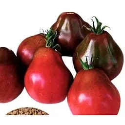 Насіння Весна на вагу Томат Трюфель чорний ціна за 1 г (32089)