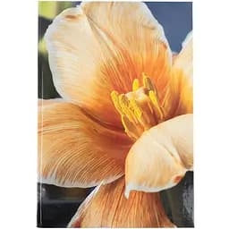 Книга записна Axent Flora A4 в клітинку 192 аркуша жовта (8423-27-A)