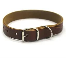 Нашийник для собак Zoo-hunt ОТ Лапка шкіряний тиснений рудий 3,0/41-51 см