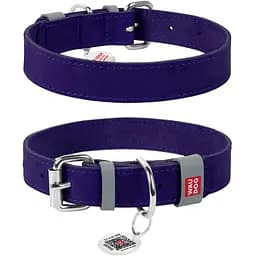 Ошейник для собак Waudog Classic кожаный XS, Ш 12 мм, Дл 21-29 см (4823089313580)