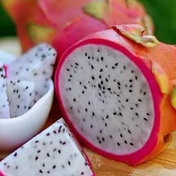 Саженец Agro-Market Питахайя (38121) 1 шт. в упаковке