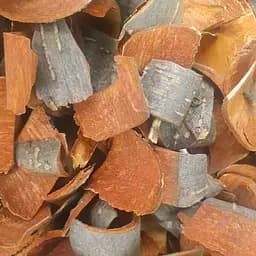 100 г ольха черная кора сушеная - свежий урожай