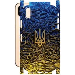 Захисна плівка StatusSKIN для Apple iPhone XS Корпус Вініл Герб 2