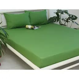 Простирадло на резинці з наволочками TAG Tekstil Cactus 180х200х20 см 000224318