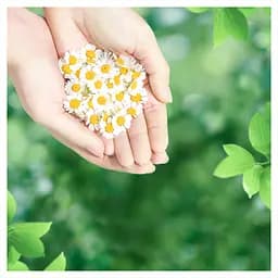 Гігієнічні прокладки Naturella Classic Normal, 20 шт. - мініатюра 7