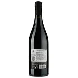 Вино Botter Torracina Nero d'Avola Appassite Sicilia, 13,5%, 0,75 л - мініатюра 2