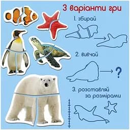 Набір магнітних пазлів Magdum Ocean and Sea 7 шт. ML4031-35 EN - мініатюра 4