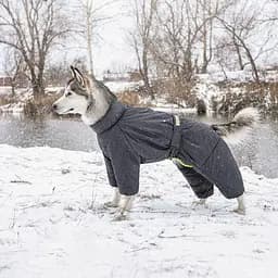 Комбінезон Pet Fashion Cold для собак, розмір M2, сірий - мініатюра 5