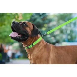 Повідець для собак Waudog Waterproof водостійкий M, салатовий - мініатюра 7