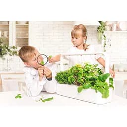 Стартовий набір для вирощування еко-продуктів Click & Grow Smart Garden 9, бежевий (8875 SG9) - мініатюра 6