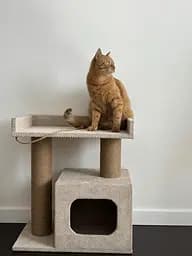 Будиночок кігтеточка з лежанкою для кота 65*55*35 см Бежевий