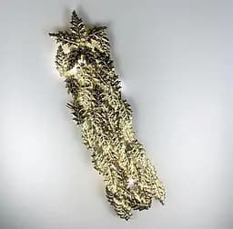 Удлиненная модель бра во флористических мотивах Line F цвет корпуса сатин