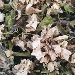 100 г яблоня цвет сушеный - свежий урожай