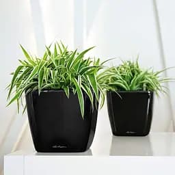 Вазон Lechuza Quadro Premium LS 21 сіро-коричневий (16125) - мініатюра 5