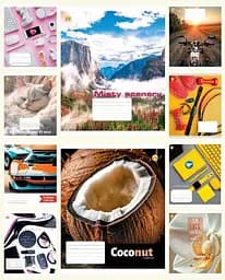 Тетради ученические 48 листов клетка Твердая 41503 Микс д/х 1, 10 шт. в упаковке