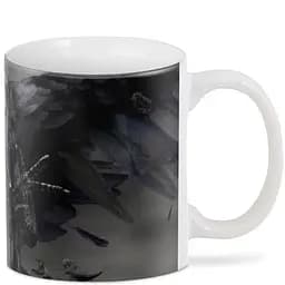 Кухоль GeekLand Лицарі Dark Souls Гігантська ворона CP 03.293 330 мл білий