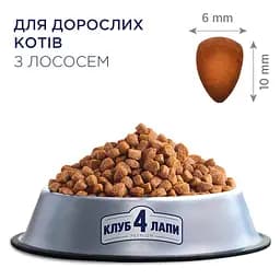 Сухий корм для котів Club 4 Paws Premium лосось 300 г (B4610511) - мініатюра 3
