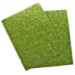 Фон з натурального моху Repti-Zoo Natural Moss Back & Bottom 20x30см 2 шт (NCM3020) для тераріуму - мініатюра 3