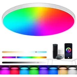 Світлодіодний стельовий світильник із димінгом, 24 Вт 2400 LM Smart RGB світлодіодний стельовий світильник, IP44 лампа