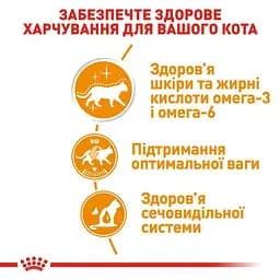 Вологий корм для кішок з чутливою шкірою і проблемною шерстю Royal Canin Hair Skin шматочки в желе 85 г - мініатюра 6