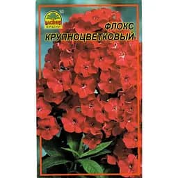 Насіння Флокс великоквітковий 30 шт. (Насіння країни)