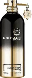 Парфюмированная вода Montale Amber Musk Тестер 100 мл 