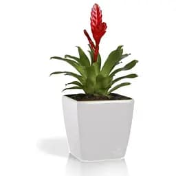 Вазон Plastkon Quadrato Flower Lover 18x18x17 см білий - мініатюра 2