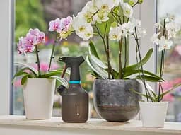 Обприскувач ручний Gardena EasyPump з латунним соплом 1 л (11112-20.000.00) - мініатюра 4