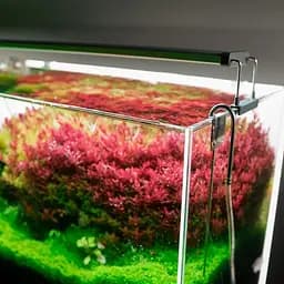 Світильник Chihiros B-Series B30 LED 30-50 см розумне RGB-освітлення для акваріума - мініатюра 10