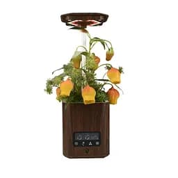 Вазон розумний Abis Темне дерево (LB2D)