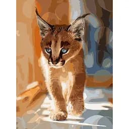 Набір для розпису по номерах Маленький каракал, 40x50 см, КНО4165